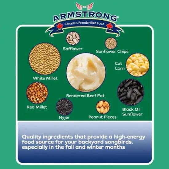 Armstrong Wild Bird Food Royal Jubilee Sweet Songs Suet Cake for Songbirds, 10.6oz (Pack of 3) image {4}