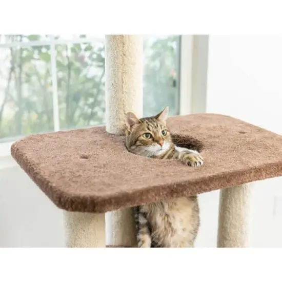 Armarkat 3-Level Carpeted Real Wood Cat Tree Condo Kitten Play House - Brown image {7}