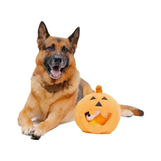 Midlee Pumpkin Find a Toy Halloween Dog Toy image {4}
