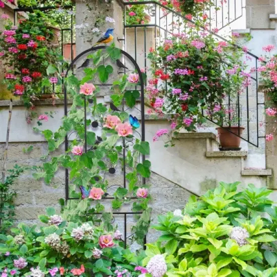 Artloge Set of 2 Tall Metal Garden Trellis Wrought Iron Heavy Duty Climbing Plant Shelf Flower Fence Barrier Edge Border for Outdoor Patio Backyard image {9}