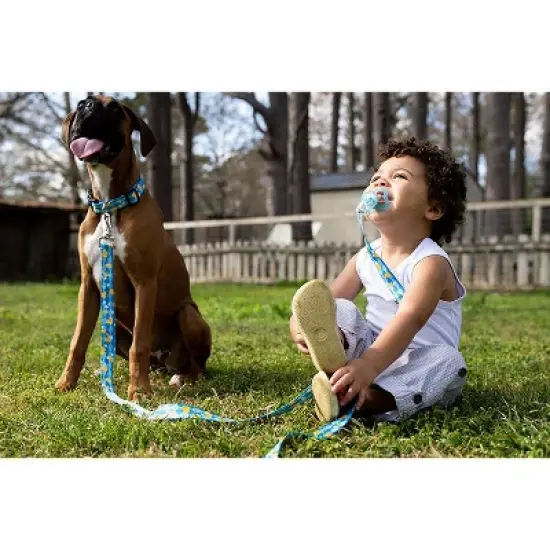 Country Brook Petz Deluxe Just Ducky Dog Leash image {3}
