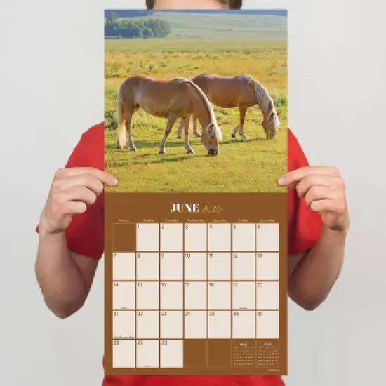 TF Publishing 13.5"x14.5" 2026 Horses Wall Calendar image {2}