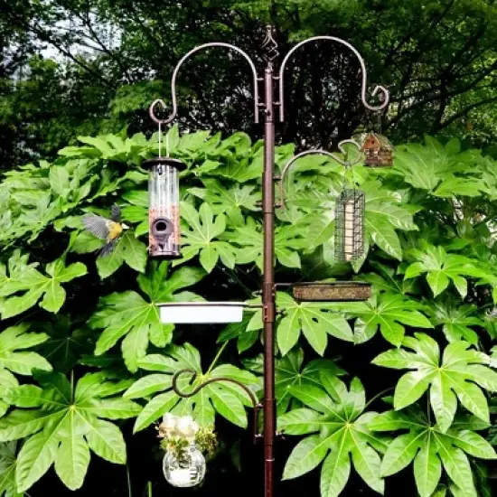 Snynuxx Deluxe Bird Feeding Station Kit With Multi Feeder Hanging Pole, Metal Suet Feeder, Mesh Tray for Attracting Wild Birds and Planter Hanger image {6}