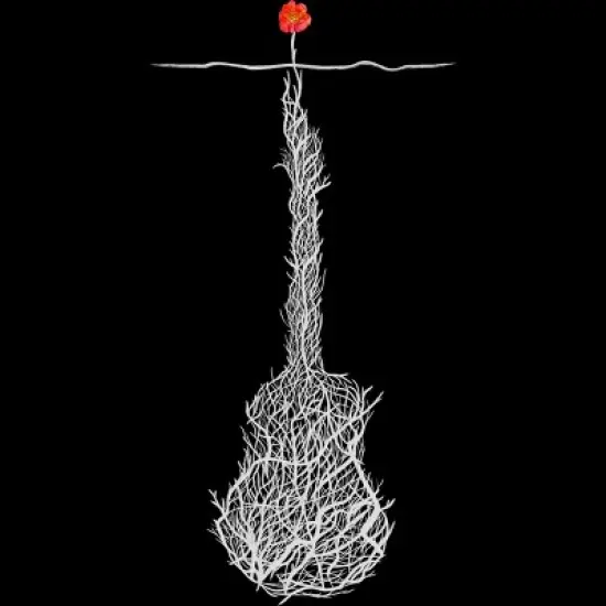 Junior's Design By Humans Music Always Finds A Way By NomAdartStudio T-Shirt image {1}