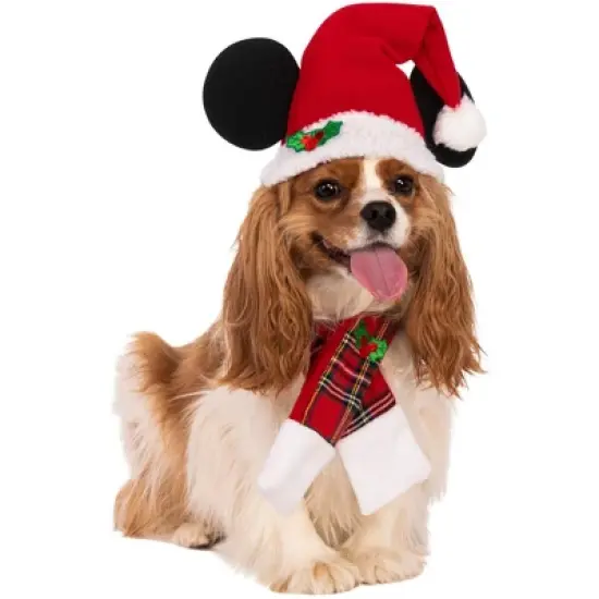 Rubies Mickey & Friends: Holiday Accessory Set for Pets image {1}