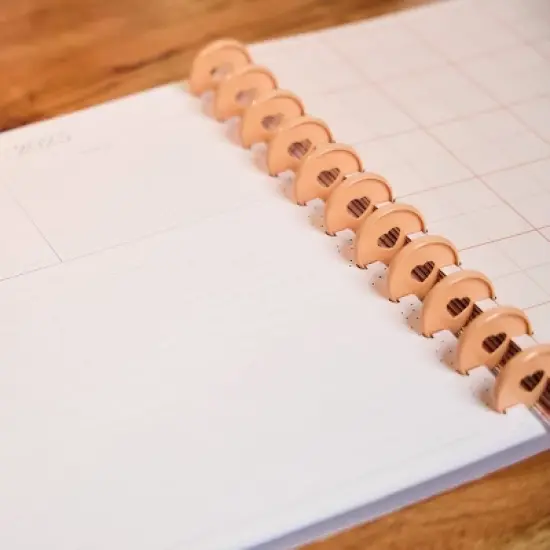 Happy Planner Timeless Teacher Big 2025-2026 12 Month Disc Bound Dated Planner image {21}