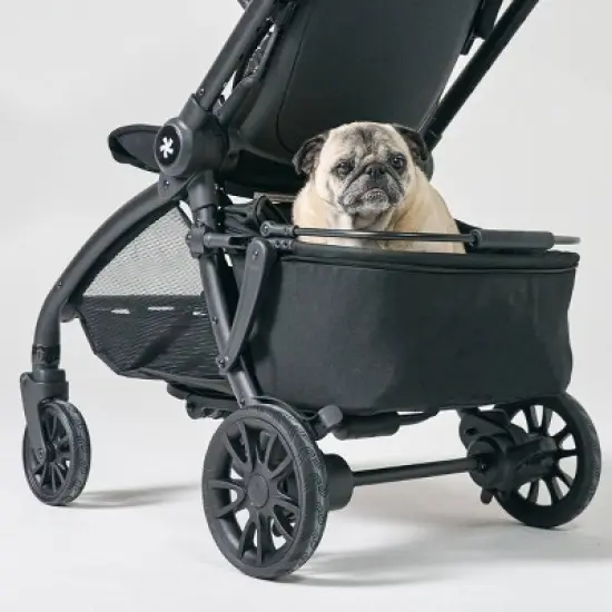 DFY Pet Basket - Black image {2}