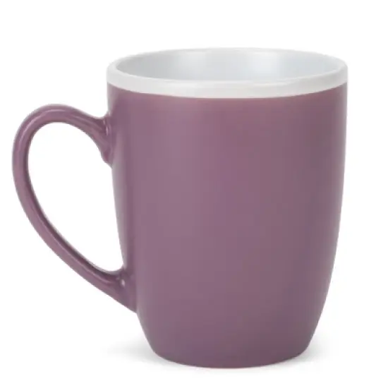Elanze Designs Solid Color Purple White Interior 16 ounce Matte Ceramic Mugs Matching Set of 4 image {1}