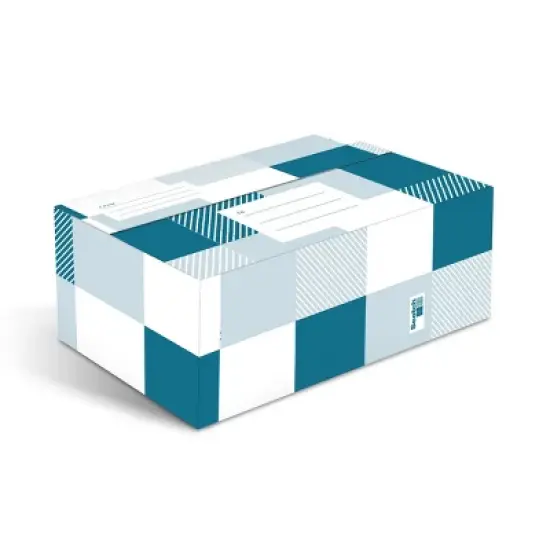 Scotch Plaid Designer Mailing Box Blue image {10}