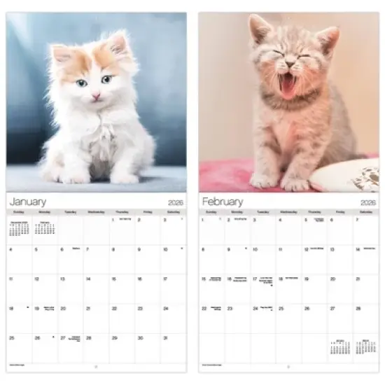 Trends International 2026 Cuddly Kittens 12"x12" Wall Calendar image {5}