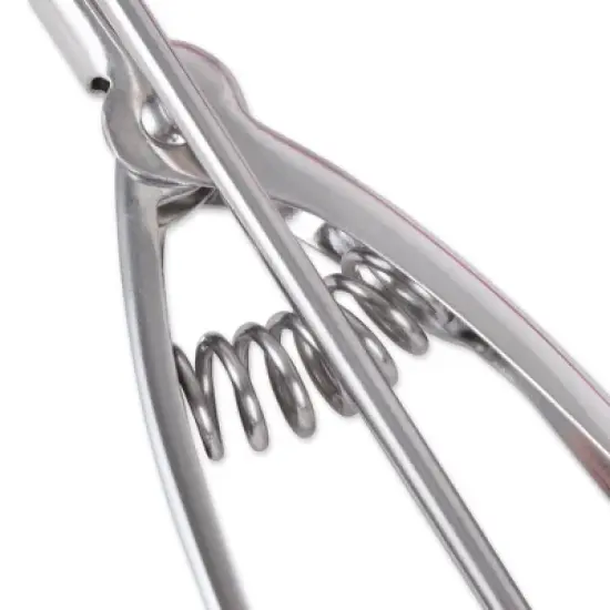 Rsvp #40 Spring Scoop image {4}