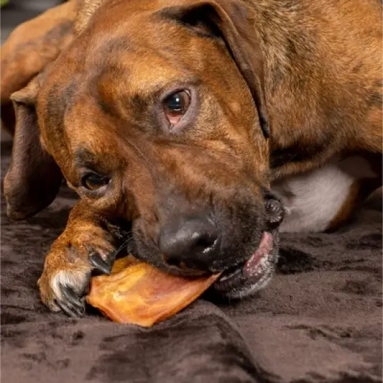 Pet Factory Real Chewz Premium Pig Ears - 7 Count image {2}