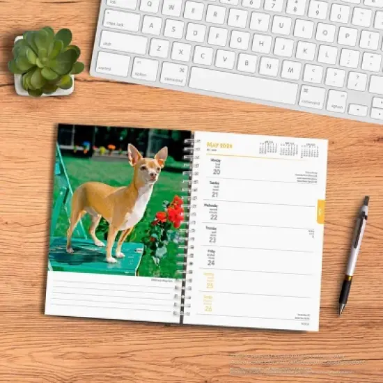 Browntrout 23-2024 Weekly/Monthly Planner 7.5"x7.125" Chihuahuas image {3}