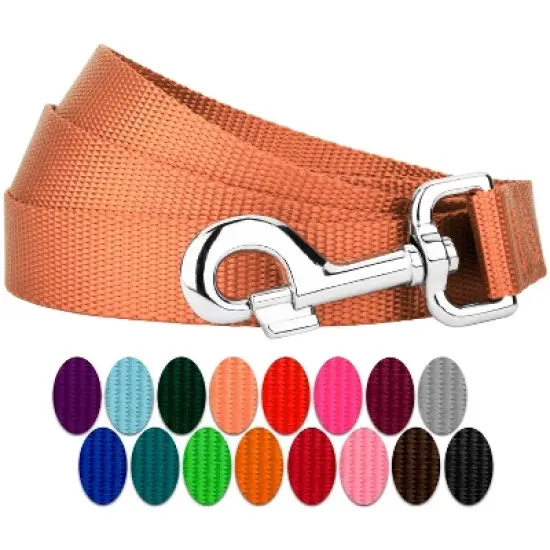 Country Brook Petz 6ft By 3/4 Inch Heavyduty Doublehandle Nylon Leash image {10}
