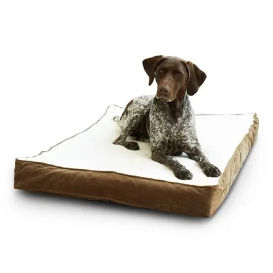 Kensington Garden Oscar Orthopedic Dog Bed - Latte/Birch image {7}