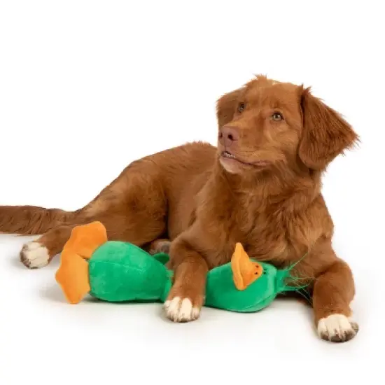 TrustyPup Long Neck Duck Dog Toy image {8}