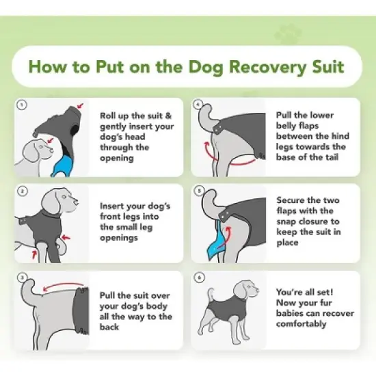 Suitical Recovery Suit for Dogs with Click Up System - Black image {5}