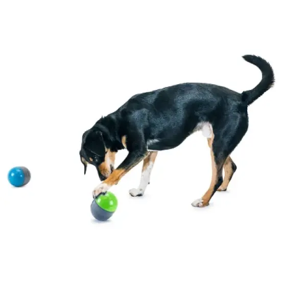 PetSafe Ricochet Battery Dog Toy - Gray image {1}