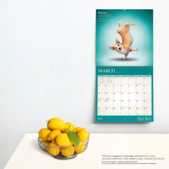 Browntrout 2024 Wall Calendar 12"x12" Yoga Dogs image {3}