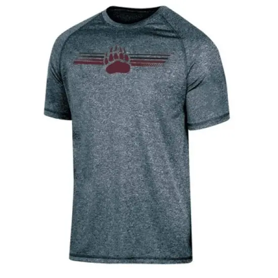NCAA Montana Grizzlies Men's Gray Poly T-Shirt image {3}