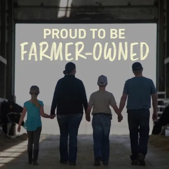 Land O Lakes Butter - 1lb image {10}