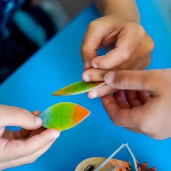 HABA Hedgehog Haberdash Memory Game (Made in Germany) image {4}