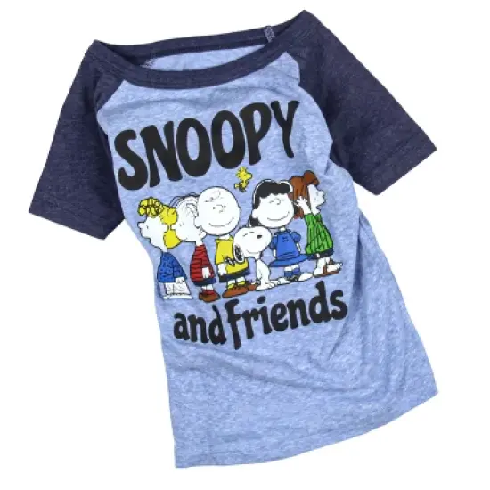 Peanuts Toddler Boys' Snoopy And Friends Raglan Collectible Graphic T-Shirt image {1}