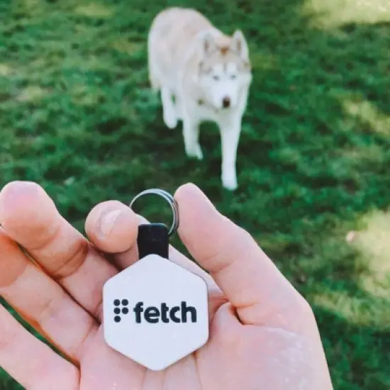 Lifekey Fetch Smart Pet Tag image {2}