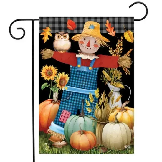 Briarwood Lane Fall Garden Flag 12x18 For Outdoor Friendly Scarecrow For Fall Garden Flag Flags For Outside image {1}