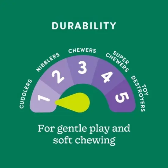 Bird Plush with Rope Dog Toy - M/L - Boots & Barkley&trade; image {3}