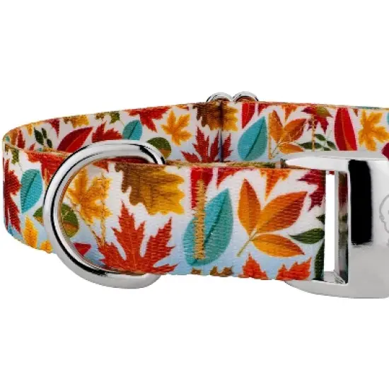 Country Brook Petz Premium Collar and Leash - Awesome Autumn Collection image {3}