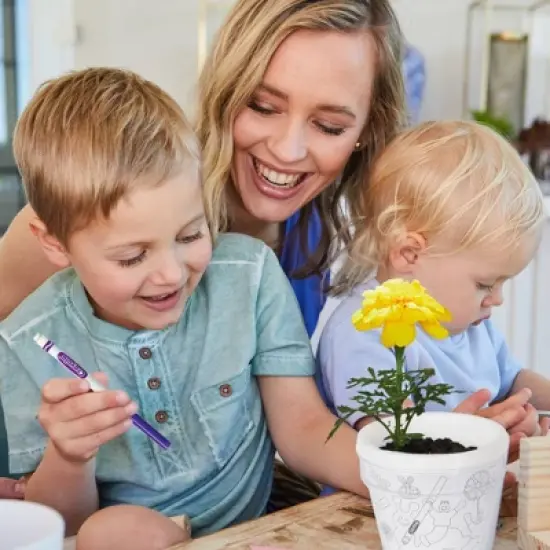 Garden Republic Jr. Crayola Color and Plant Starter Grow image {1}