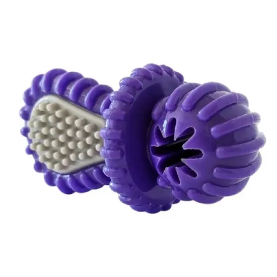 American Pet Supplies 4.9-Inch Dental Pacifier Dog Chew Toy - Purple image {2}