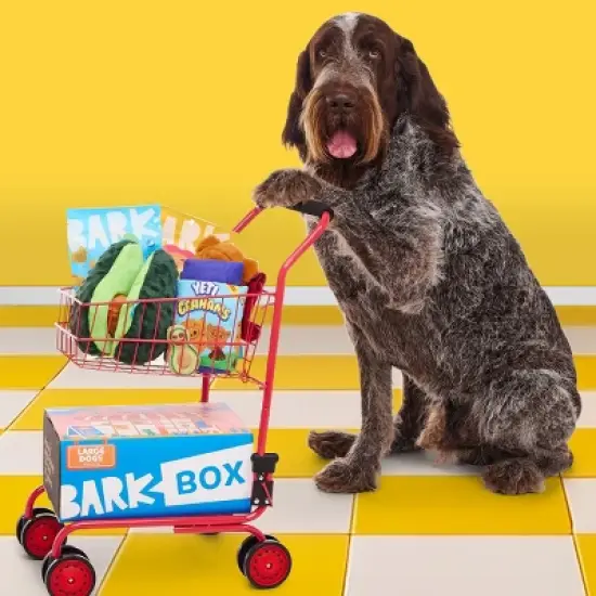 BARK Beg-n-Bag Large Box Dog Plush Toy Set - 5pc image {4}