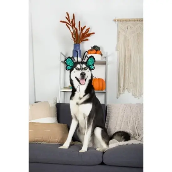 Midlee Blue Butterfly Headband Halloween Dog Costume image {2}