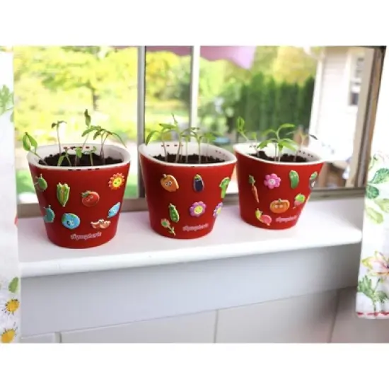 Window Garden Self Watering Planters with Sow Much Fun Seed Starting, 3 Growing kits, Broccoli image {1}