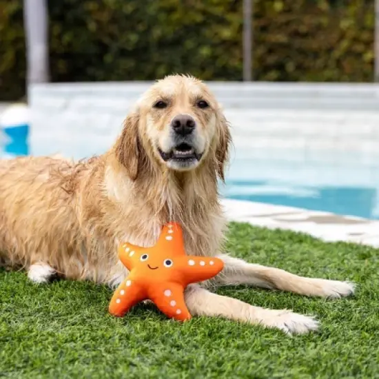 PetShop by Fringe Studio Shelly Floating Dog Interactive Toy image {2}