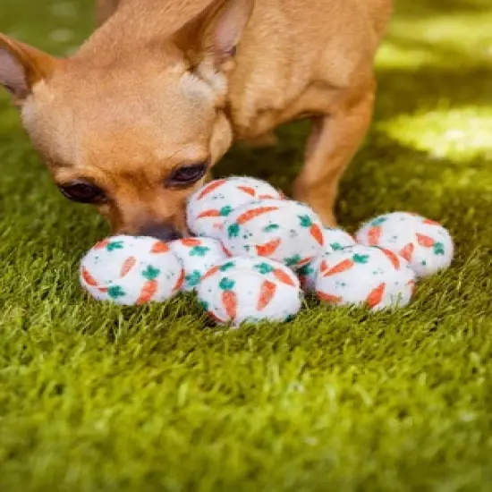 Midlee Easter Carrot Dog Tennis Balls image {2}