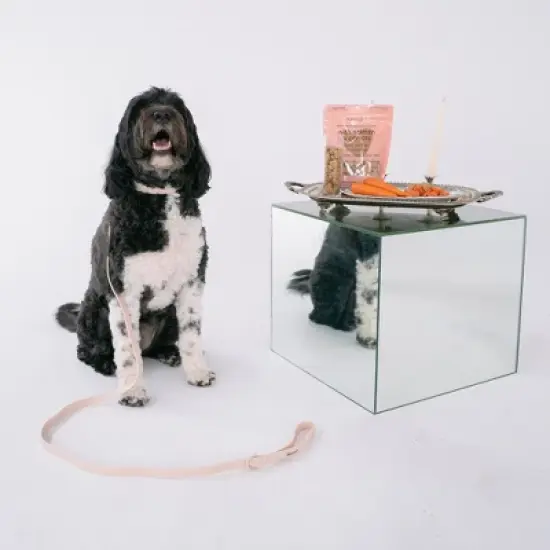 Dexypaws Salmon & Carrot Dog Biscuits 12oz - All Natural Pet Treats, Protein image {5}