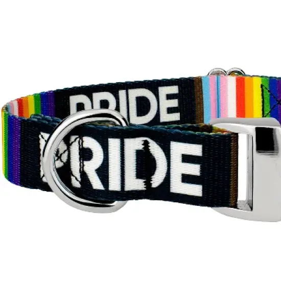 Country Brook Petz Premium Pride Dog Collar and Leash image {5}