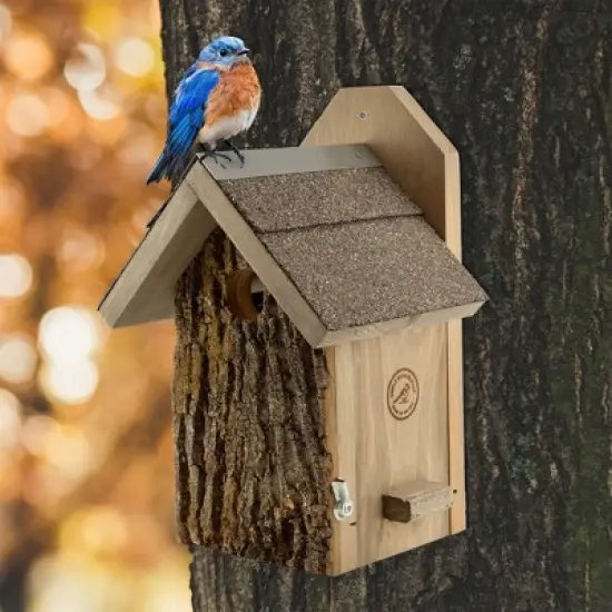 Uncle Dunkels Ultimate Bluebird House; Rustic Handmade Small Bird Nesting Box image {1}