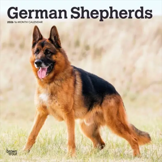 BrownTrout German Shepherds 2026 12"x24" Hanging Square Wall Calendar Plastic-Free image {9}