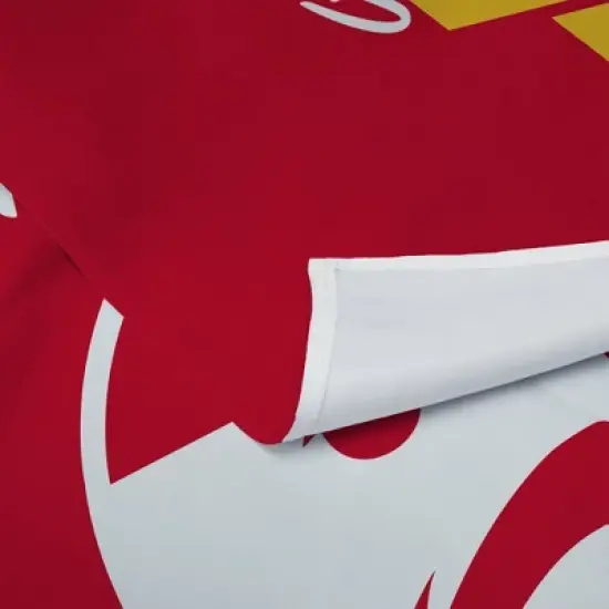 NBA Atlanta Hawks Premium Printed Wall Hanging image {2}