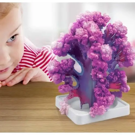 National Geographic Crystal Reef Science Kit image {3}