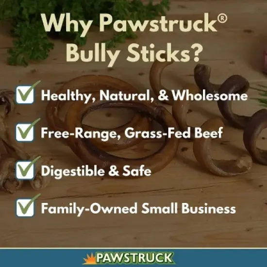 Pawstruck Natural Bully Stick Springs for Dogs - Healthy Grain-Free Single Ingredient Dental Treats Chews Made in USA image {1}
