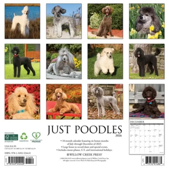 Willow Creek Press 2026 Poodles Wall Calendar image {1}