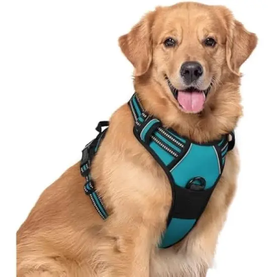 rabbitgoo Dog Harness No Pull with 2 Leash Clips, Control Handle for Large Dogs, Teal, XL image {1}