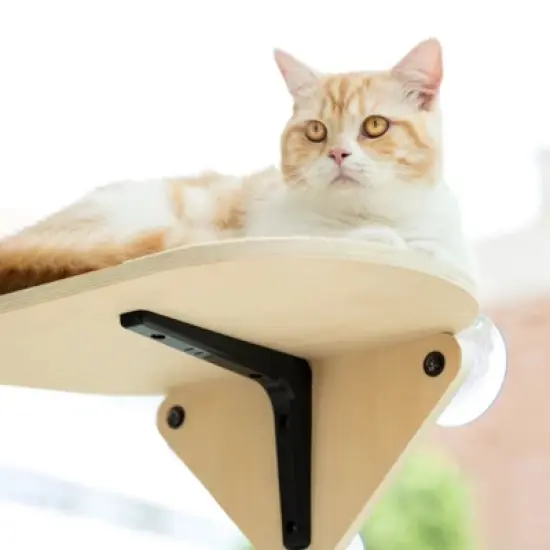 Mewoofun Cat Wall Shelves image {3}