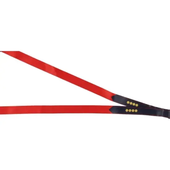 Star Trek ID Lanyard Badge Holder with Card and 2" Delta Symbol Rubber Pendant image {3}