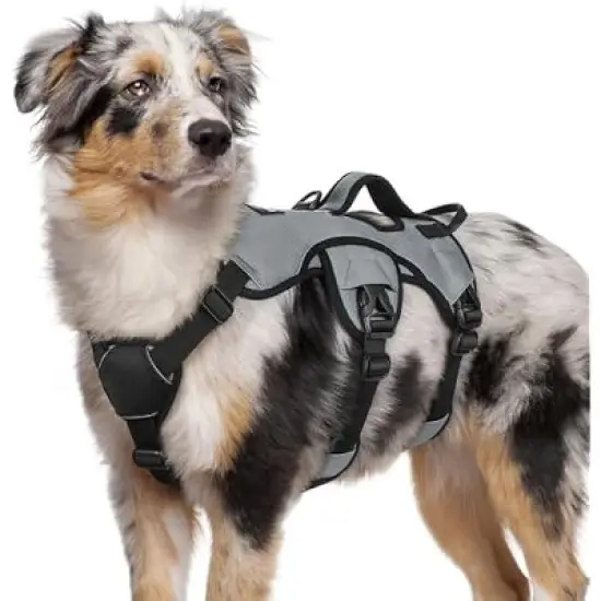 rabbitgoo Dog Harness No image {6}